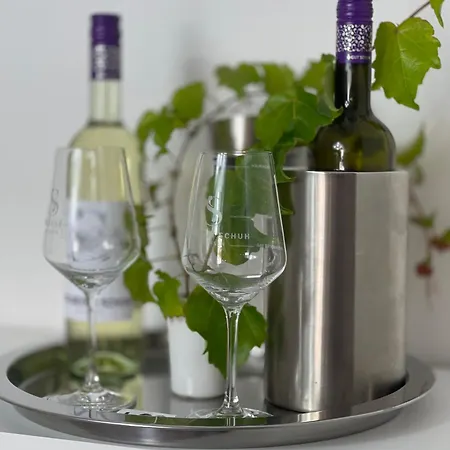 Traumhaftes Mit Burg-und Elbblick No1